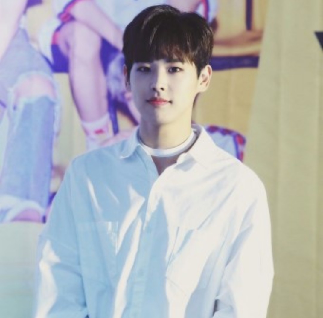 f:id:sh11dw:20190331145105j:plain