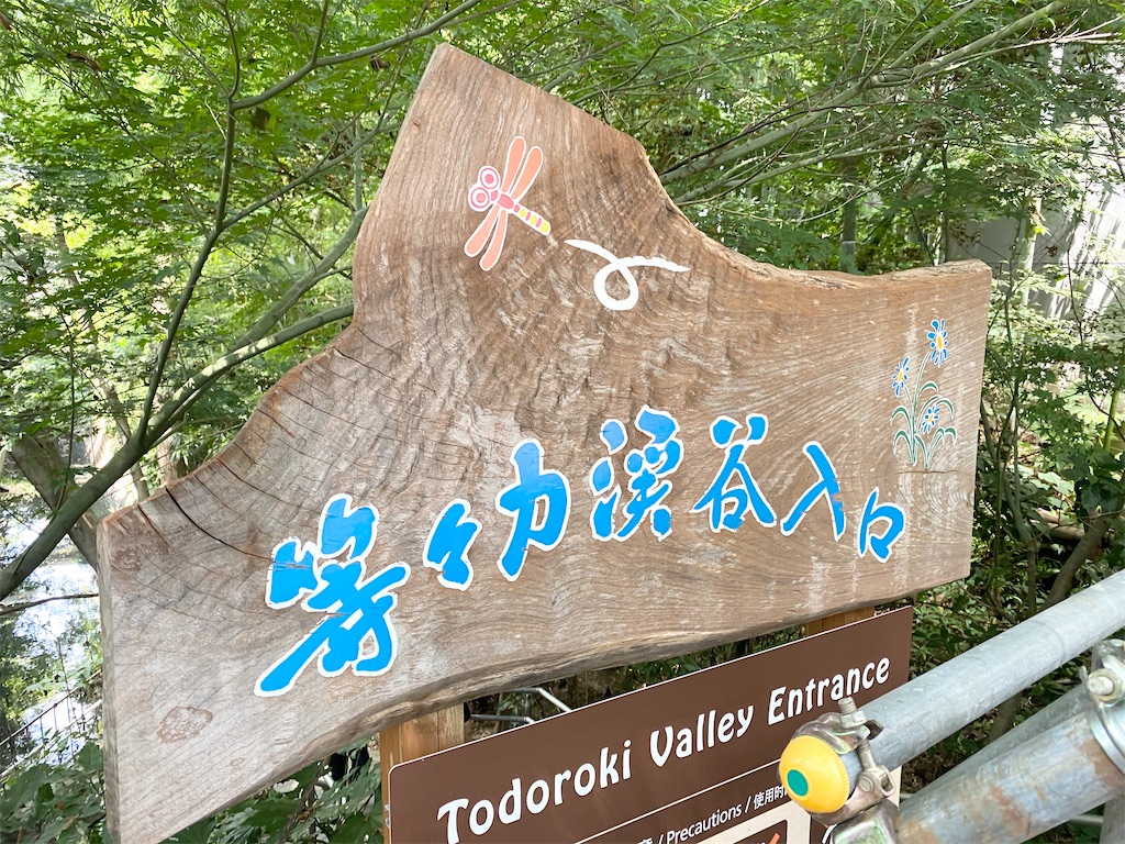 f:id:sh121j00299:20200822135902j:image