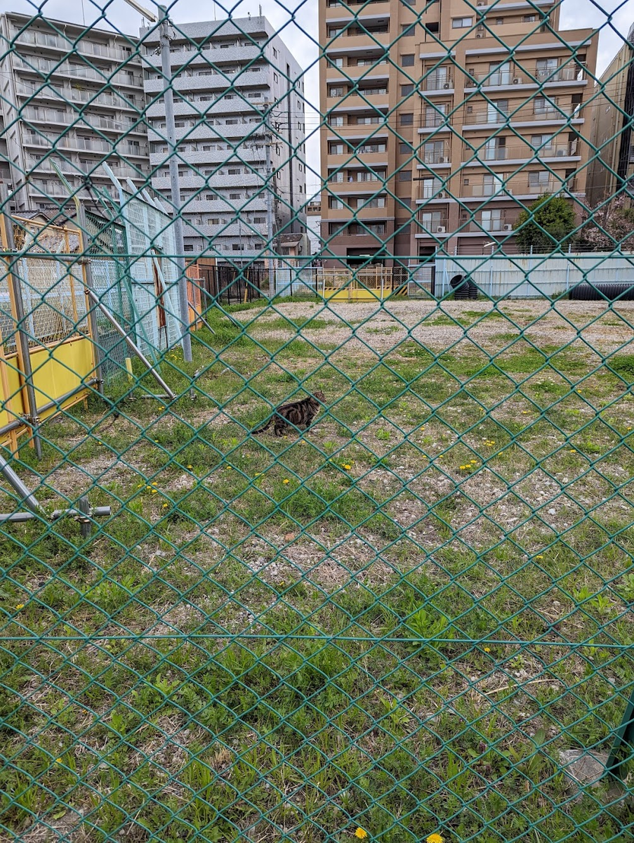 f:id:sh4869:20220403220440p:plain