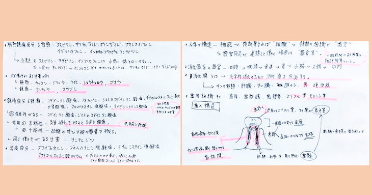 脳科学に基づく無駄にならない「まとめノート」04