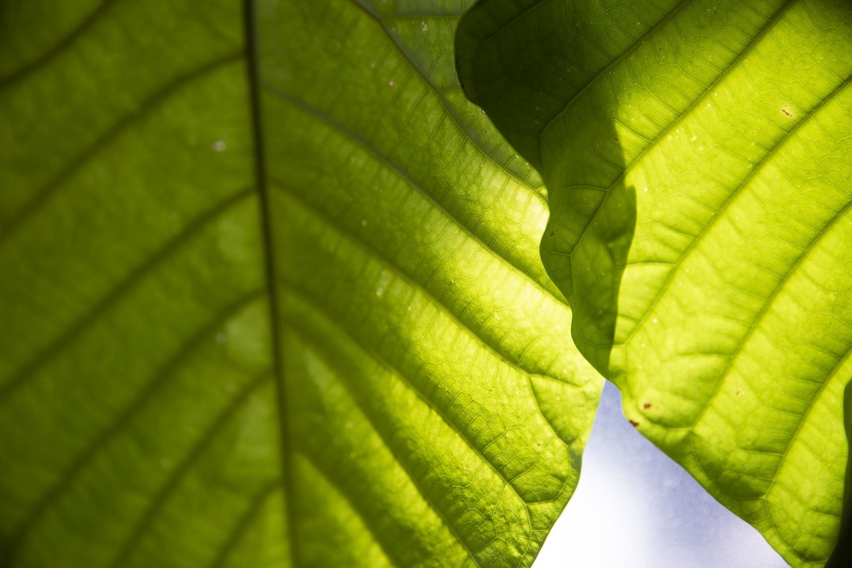 中野信子さん「義務としての学びとよろこびとしての学び」02