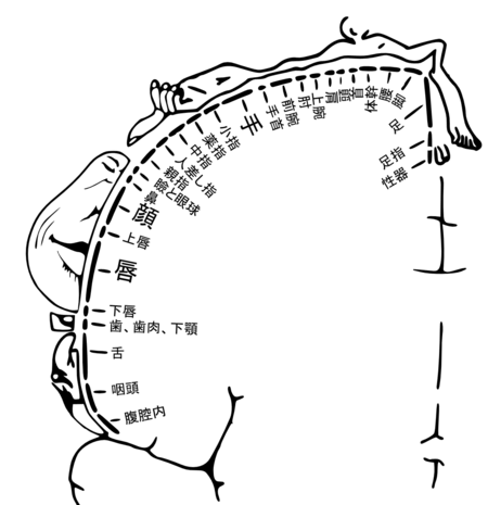 感情を交えたノート術03