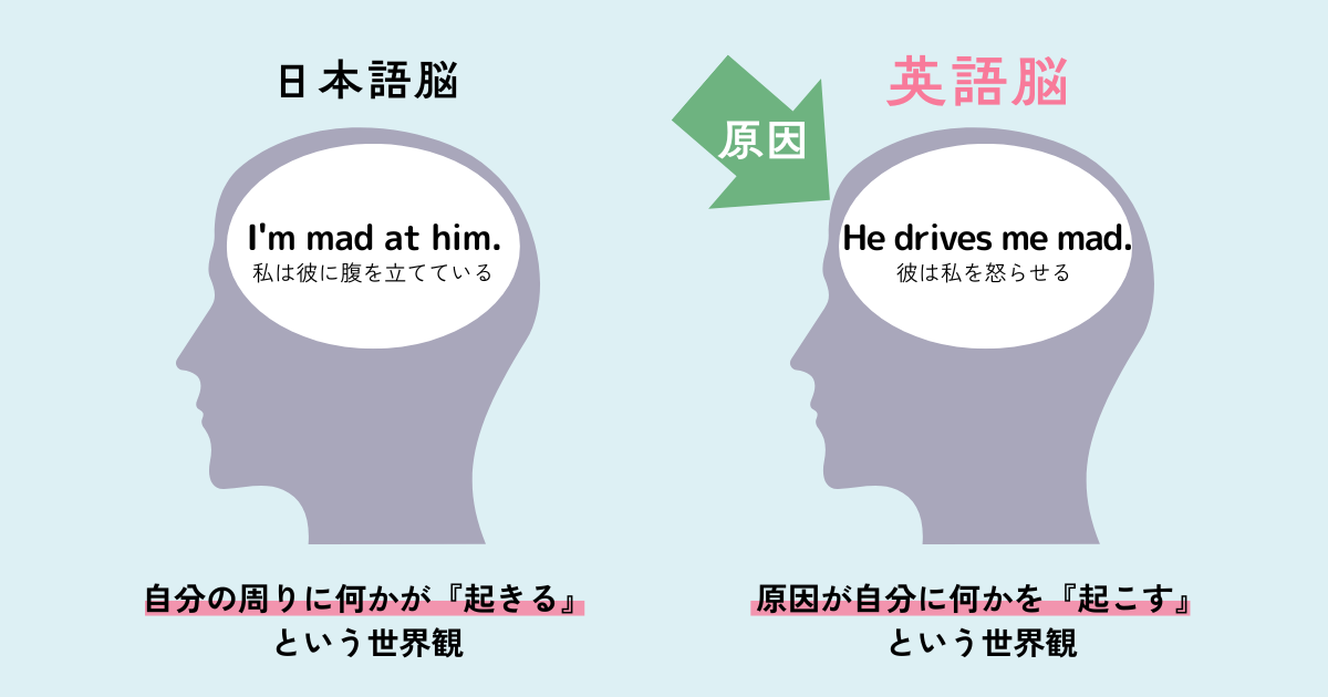 日本語脳と英語脳の図解