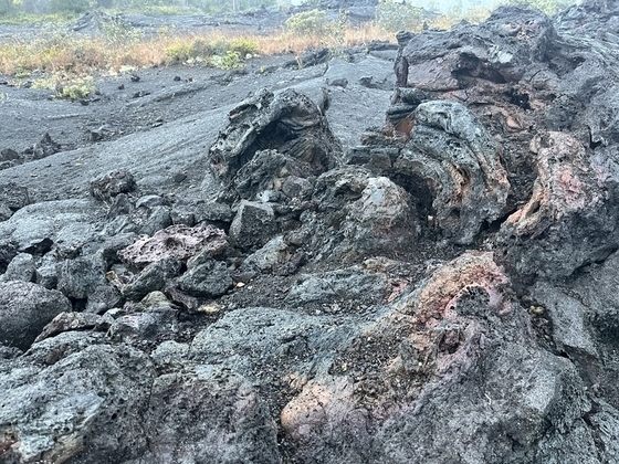ハワイ旅行 / ハワイ島 - 上海太太徒然草