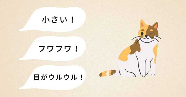 語彙力がないとはどんな状態 ボキャブラリーを増やす方法4選 Study Hacker スタディーハッカー 社会人の勉強法 英語学習