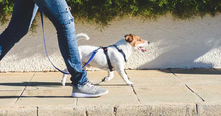 幸せホルモン・セロトニンの出し方：リズム運動
