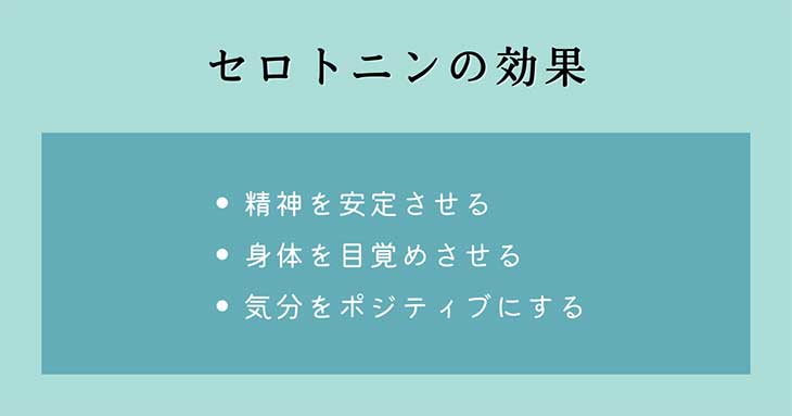 幸せホルモン・セロトニンの効果： 精神を安定させる、身体を目覚めさせる、気分をポジティブにする