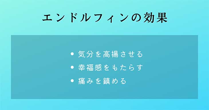 幸せホルモン・エンドルフィンの効果 ：気分を高揚させる、幸福感をもたらす、痛みを鎮める