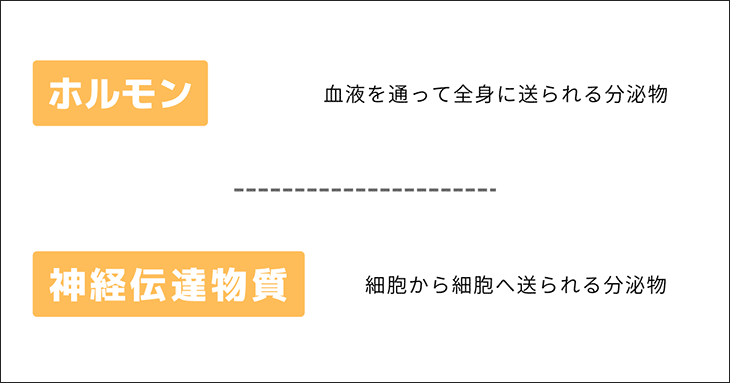 ホルモンと神経伝達物質の違い
