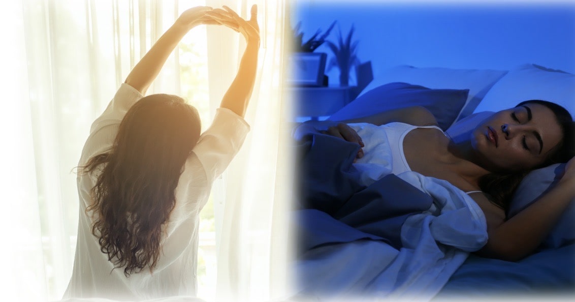 「朝の最高習慣」と「夜の最高習慣」01