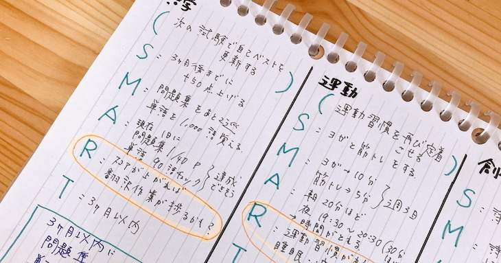 SMART目標を斜めから撮影した様子