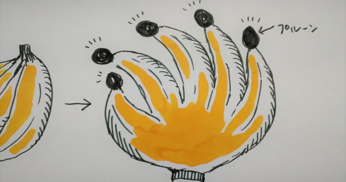 関連付けの記憶トレーニング05