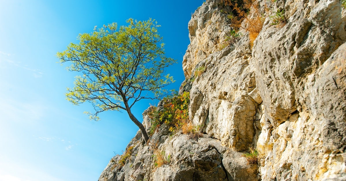 感情ラベリングで心を強くする2