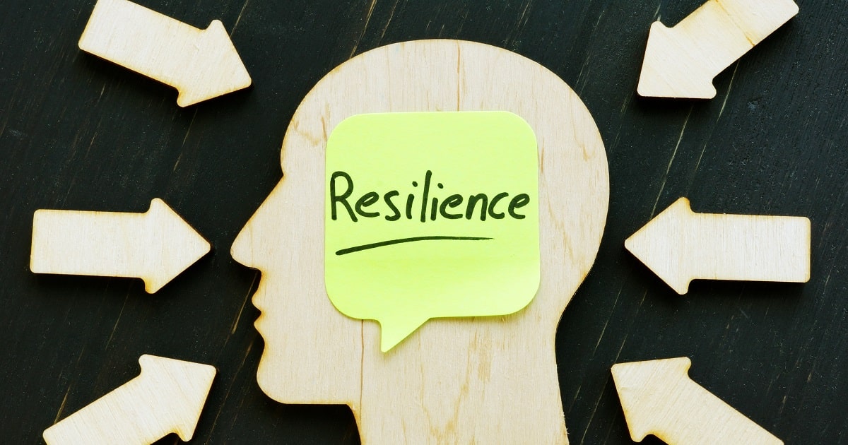 レジリエンスを構成する主な要素を紹介するための、レジリエンスのイメージ