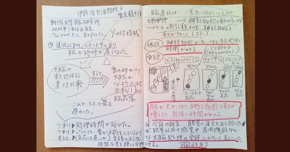 筆者が気になってメモした研究内容