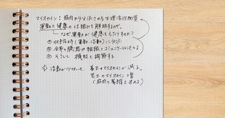 リングノートのリングが手に当たらないように利き手のページだけを使う例