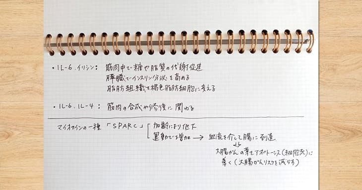 リングノートのリングが手に当たらないようにノートを横にして使う例