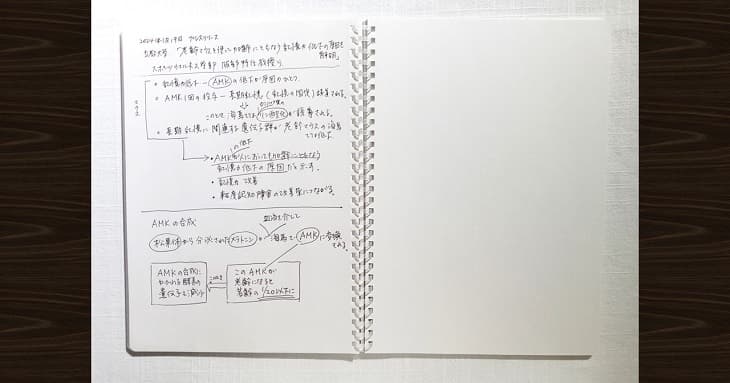 「ソフトリングノート」に書いてみたら、リングに手が当たってもあまり気にならないので、と綴じ部分の際まで書けた。