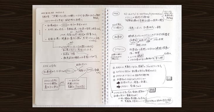 コクヨの「ソフトリングノート」を使って、見開きまんべんなく書いてみた。