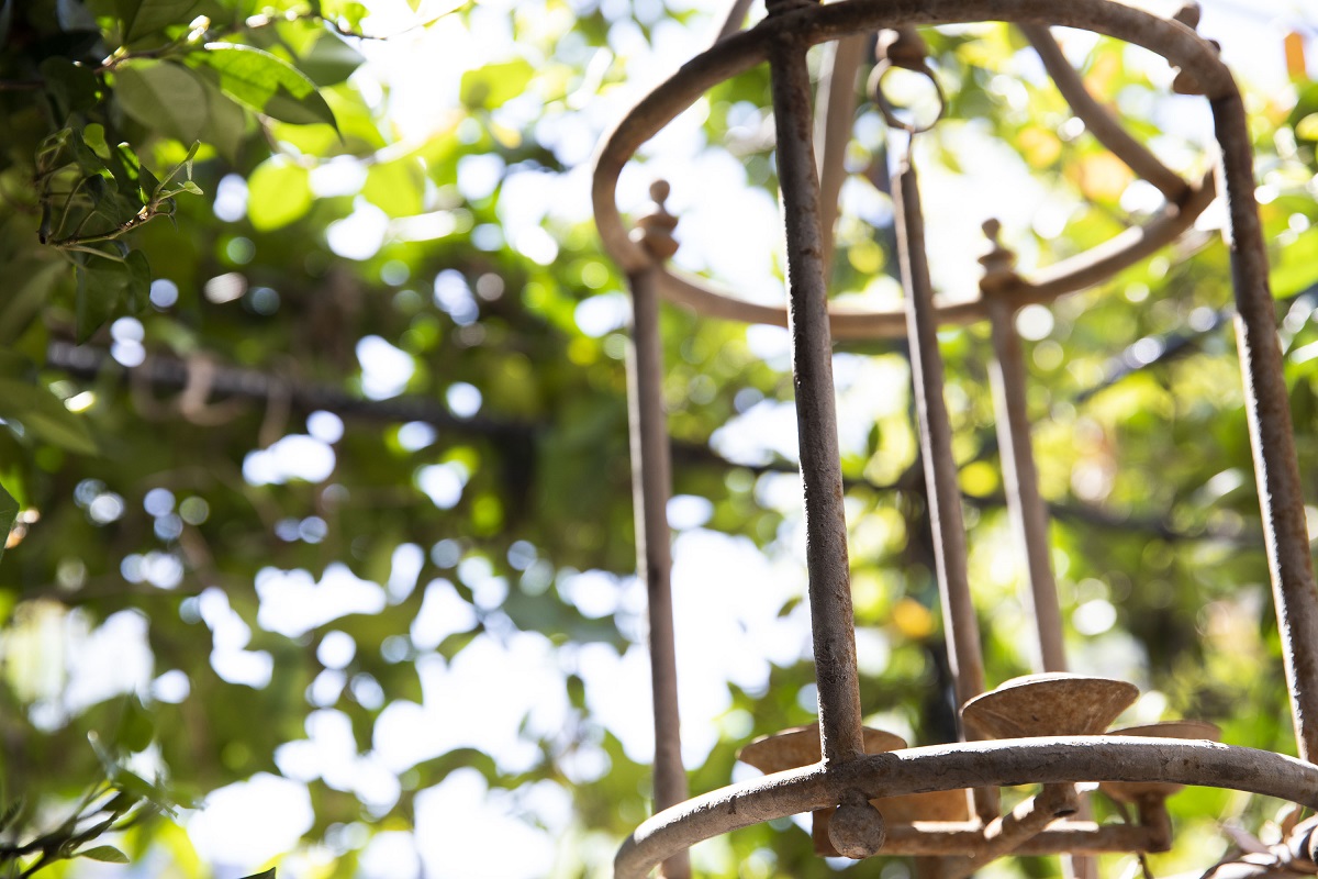 中野信子「嫉妬の感情が危険な理由」02