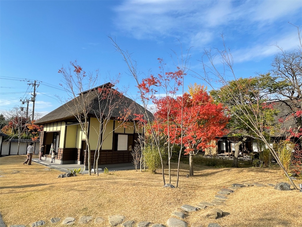 f:id:shabusan:20201227181949j:image f:id:shabusan:20201227181949j:image