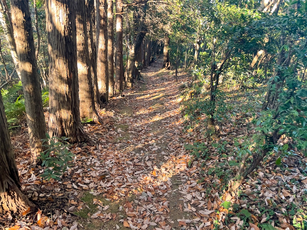 f:id:shabusan:20201230163913j:image f:id:shabusan:20201230163913j:image