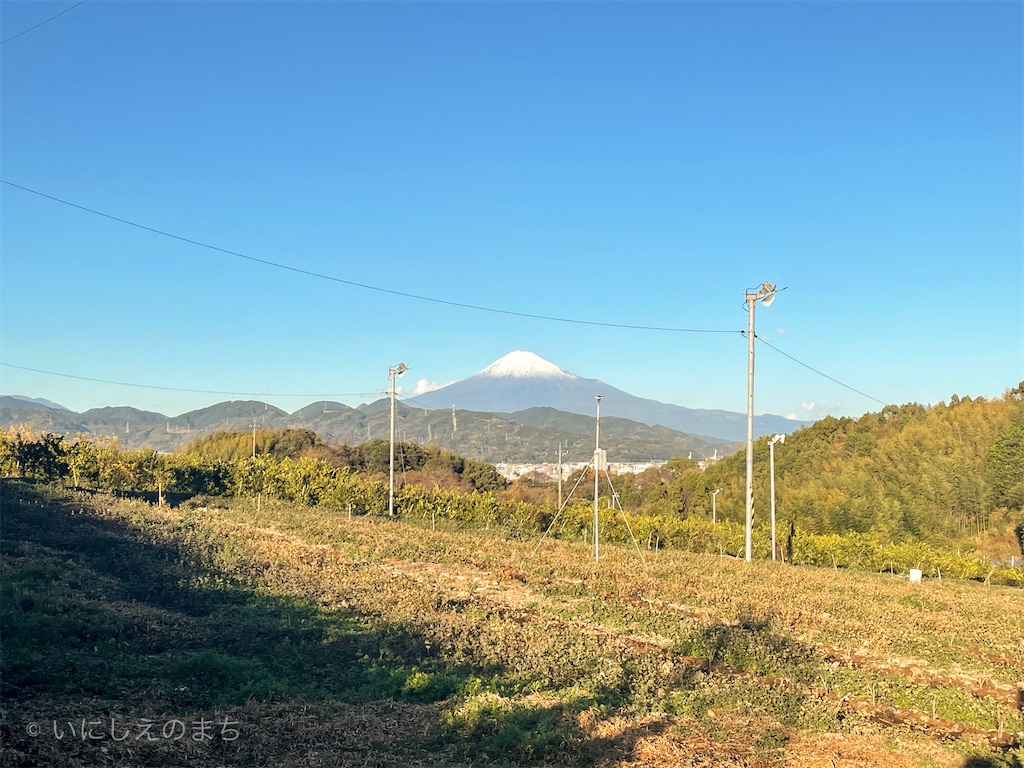 f:id:shabusan:20201230164024j:image f:id:shabusan:20201230164024j:image