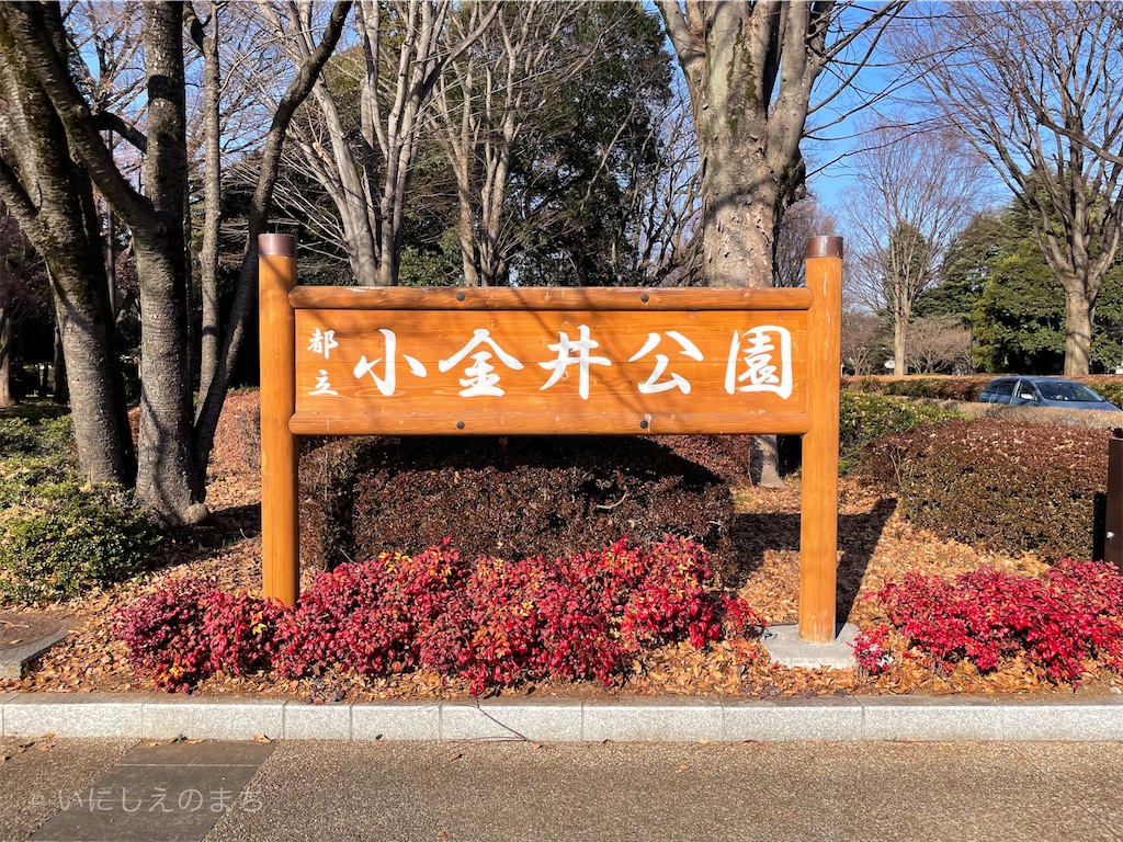 f:id:shabusan:20210116142601j:image