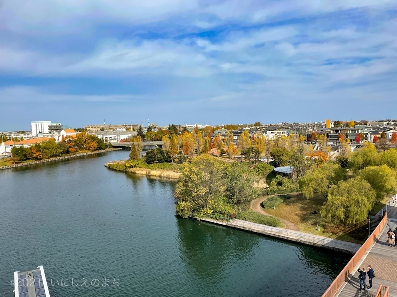 f:id:shabusan:20211121110341j:plain