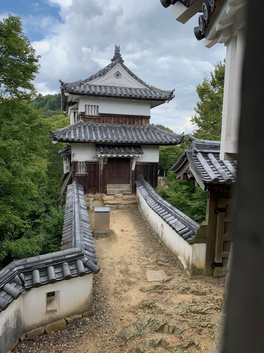 f:id:shachi_kk:20190914142000j:plain f:id:shachi_kk:20190914142000j:plain