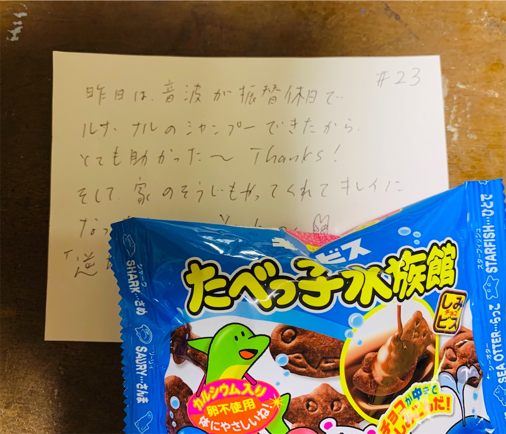 f:id:shachihokoshisa:20240618092332j:image f:id:shachihokoshisa:20240618092332j:image