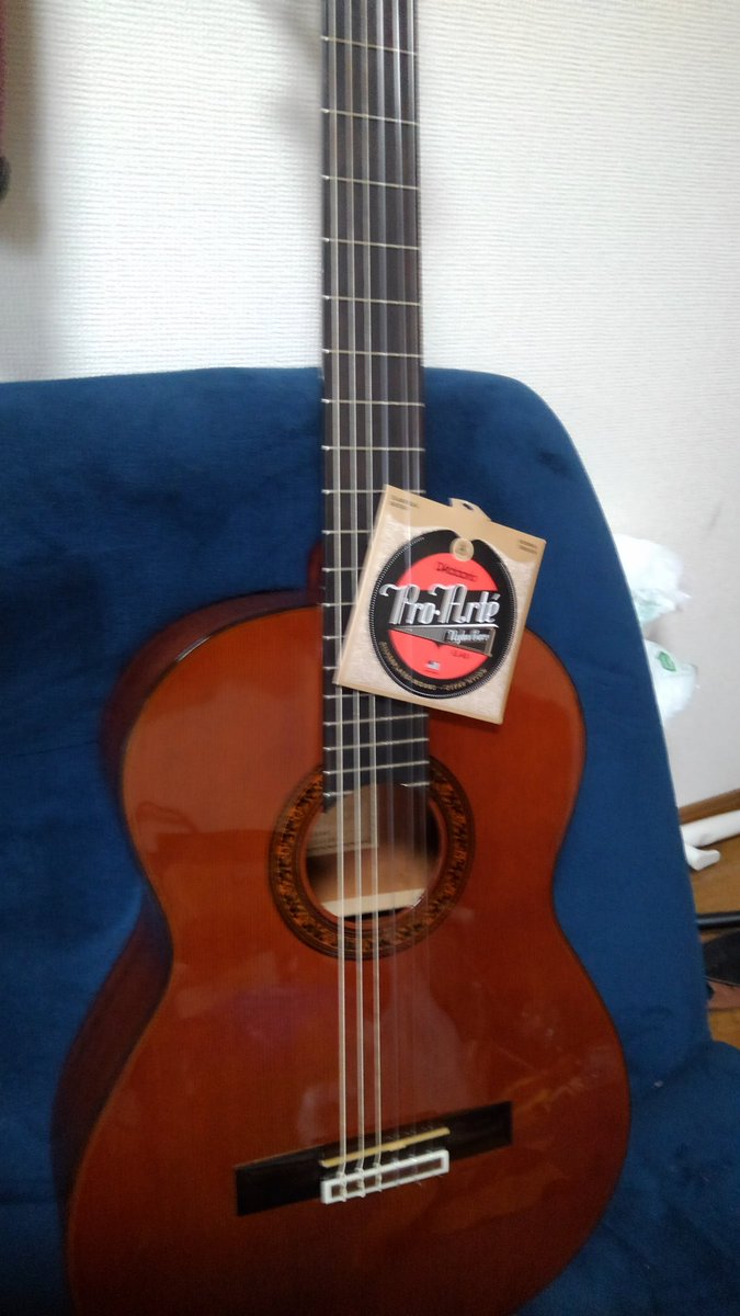 f:id:shachikun:20190326200722j:plain