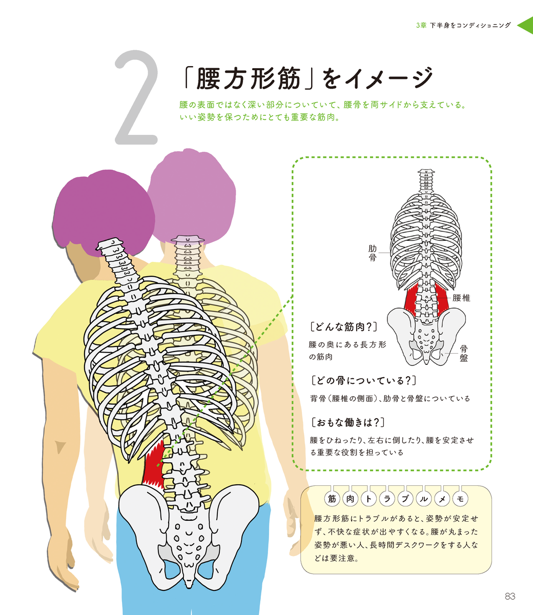 レッグレイズで腰方形筋が鍛えられていることを実感