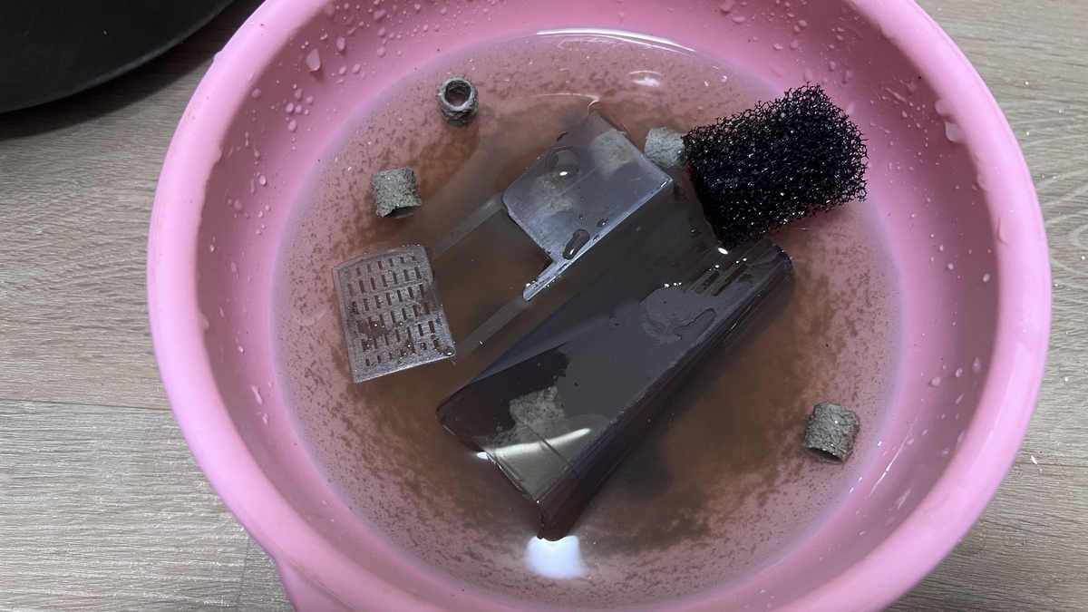 アヌビアスが急成長して根茎が折れそうなので溶岩石で補助しました