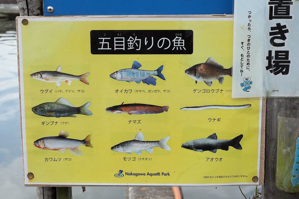 なかがわ水遊園 大田原 前編 シャドウなログにしやがれ