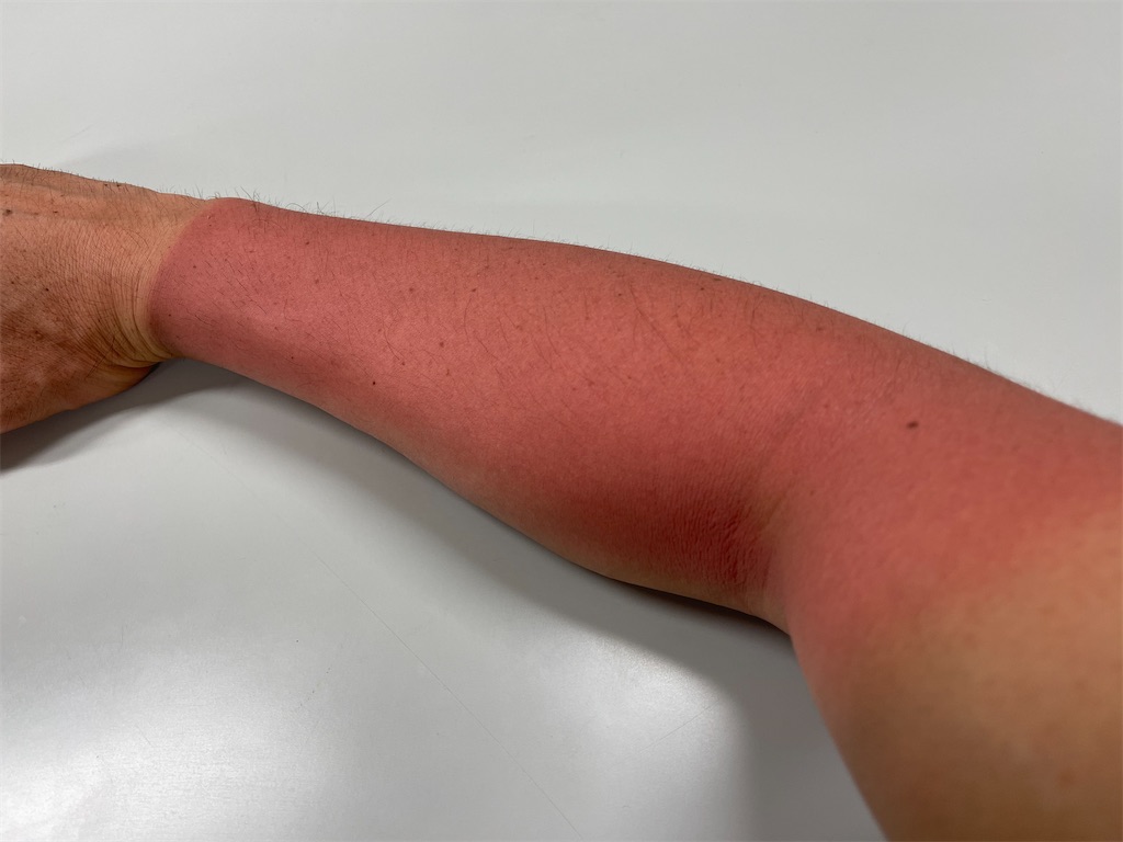 f:id:shajibato:20210520214217j:image