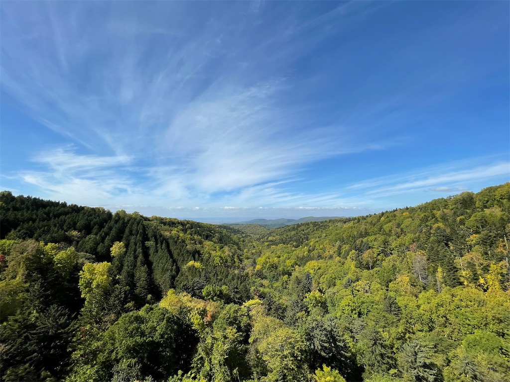 f:id:shajibato:20210929222951j:image