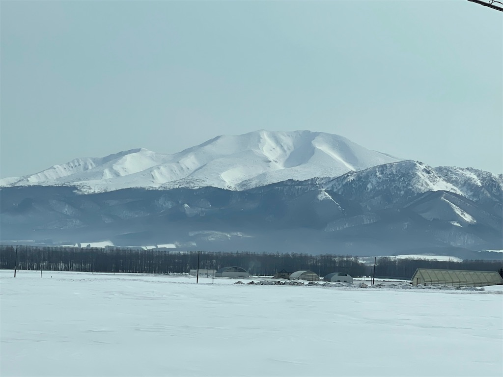 f:id:shajibato:20220317220151j:image