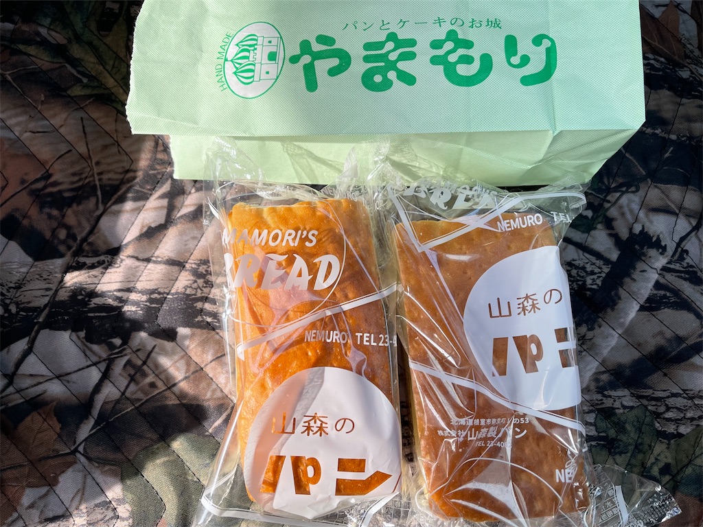 f:id:shajibato:20220317221405j:image