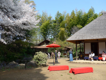 f:id:shajimatsu:20180401095644j:image