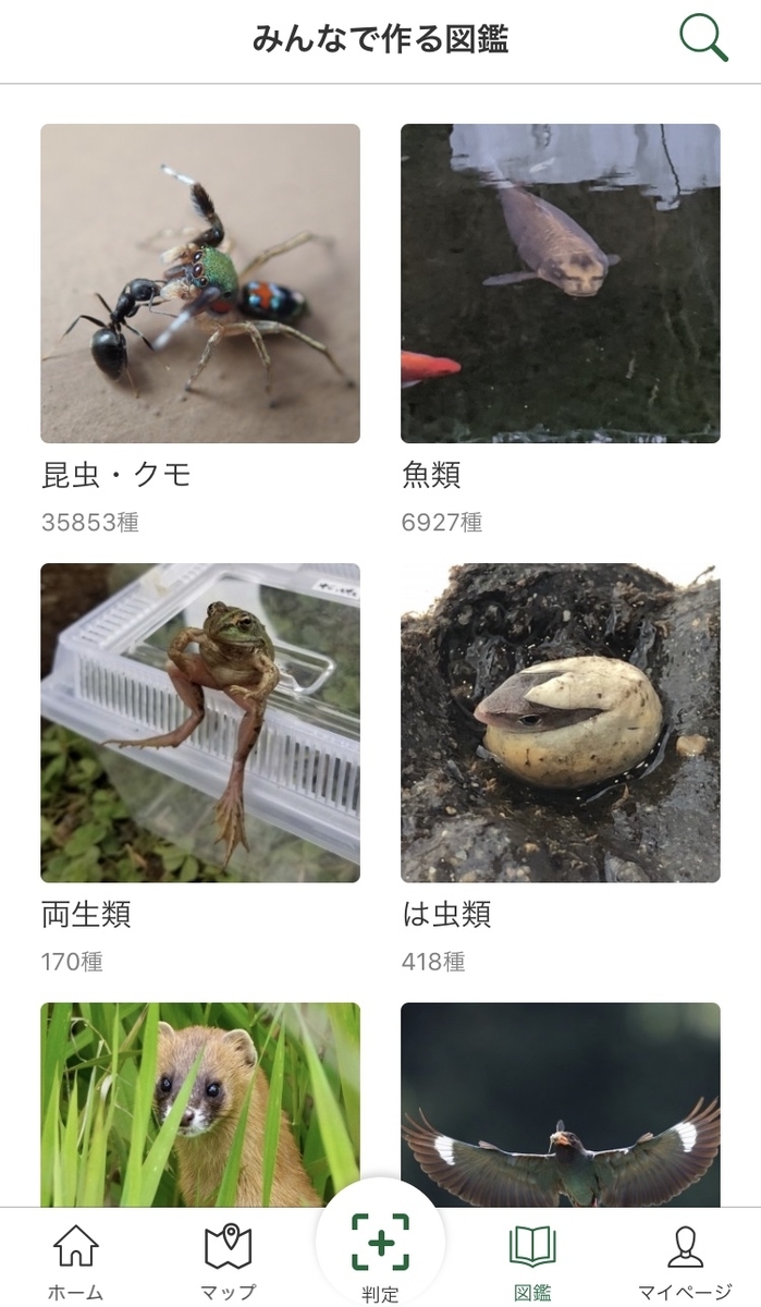 f:id:shakana:20200803114517j:plain