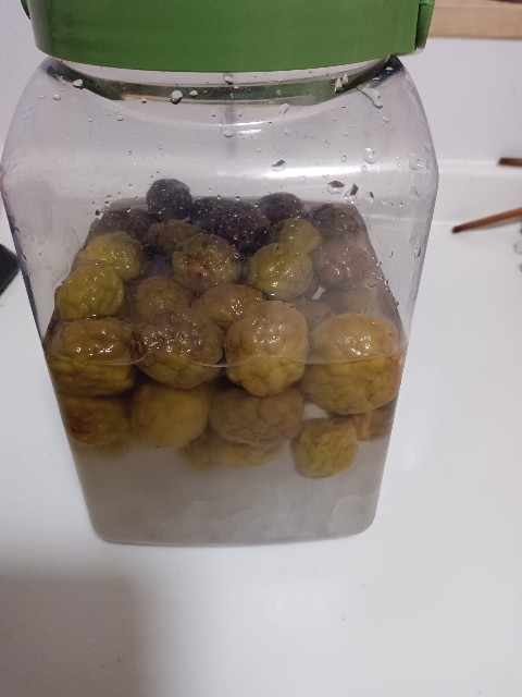 f:id:shakariki30s:20230527215029j:image