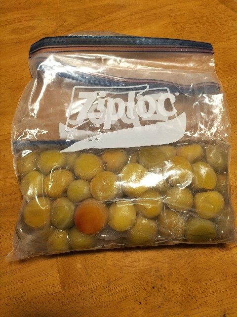 f:id:shakariki30s:20230605204837j:image