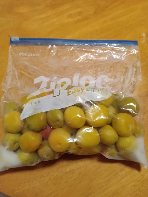 f:id:shakariki30s:20230605205304j:image