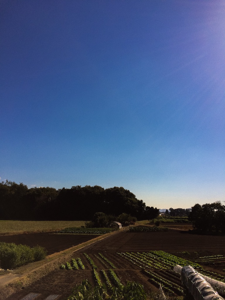 f:id:shakesound:20151008091639j:image f:id:shakesound:20151008091639j:image