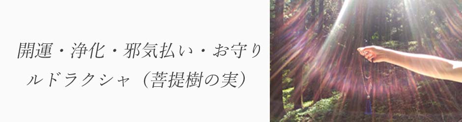 f:id:shaktimoon:20190220180940j:plain