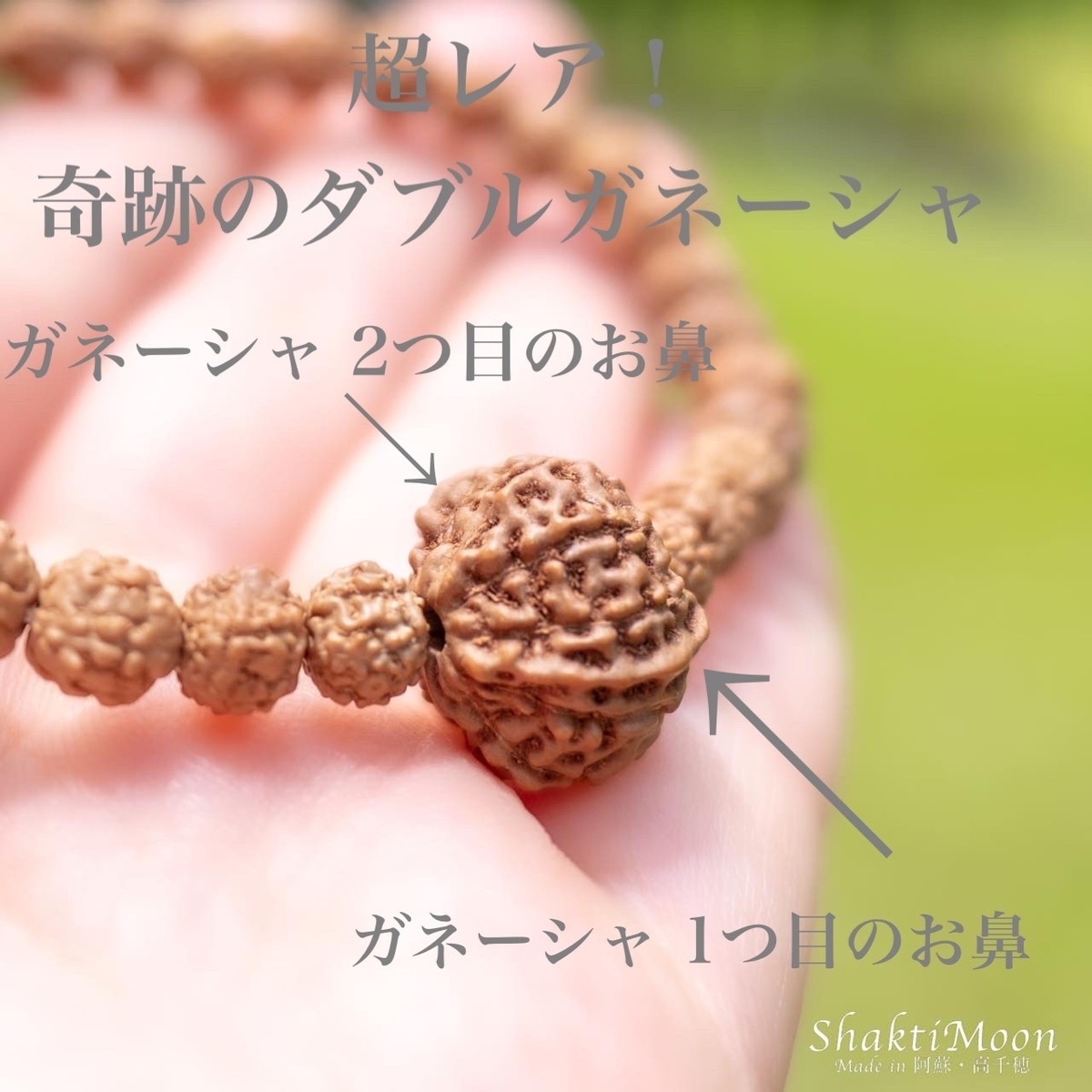 超レア・希少!奇跡のダブルガネーシャ!×10面BIGサイズ!1点もの ...