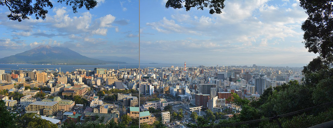 f:id:shakuhachi_tone:20201116201958j:plain