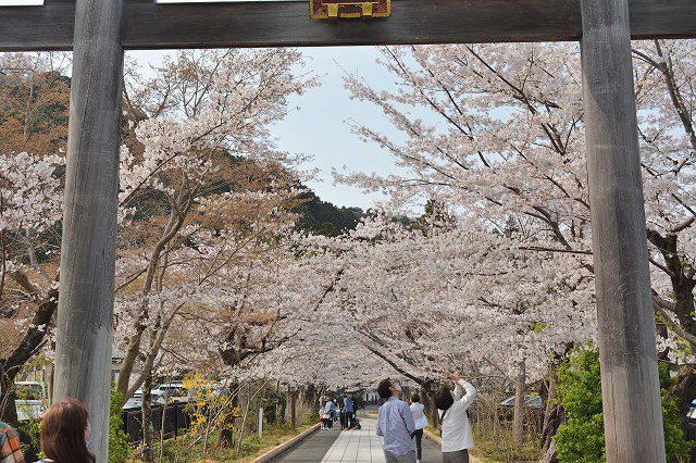 f:id:shakuhachi_tone:20210328210302j:plain