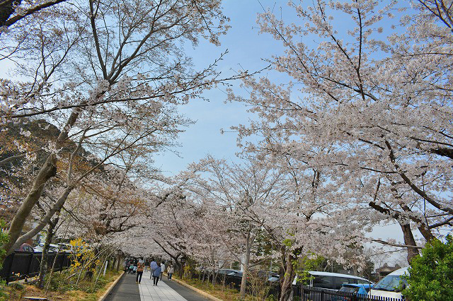 f:id:shakuhachi_tone:20210328210311j:plain